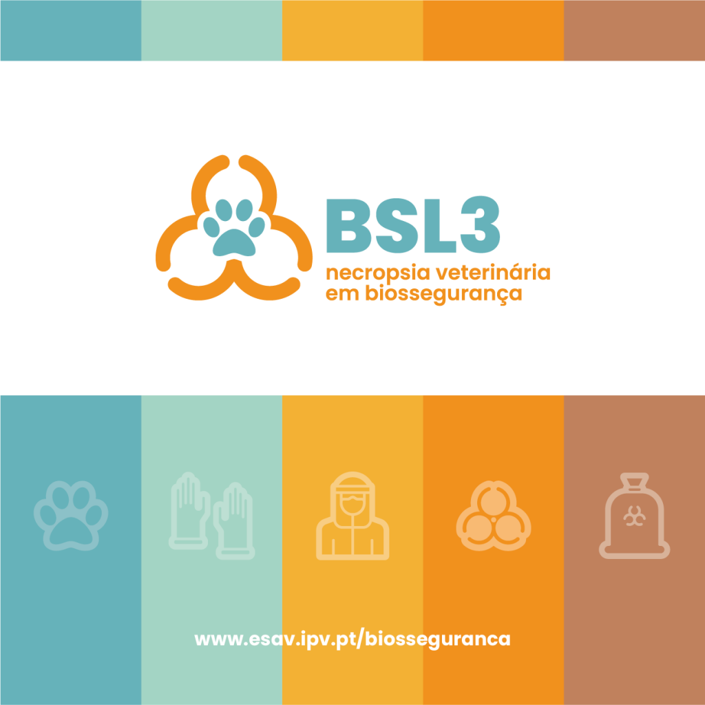 BSL3-pub-2-1024x1024