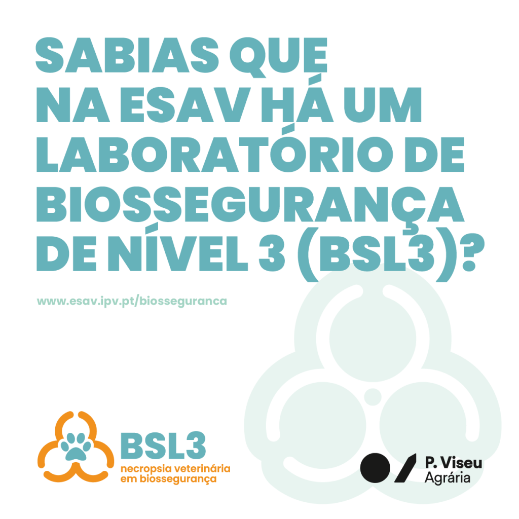 BSL3-pub-3-1024x1024