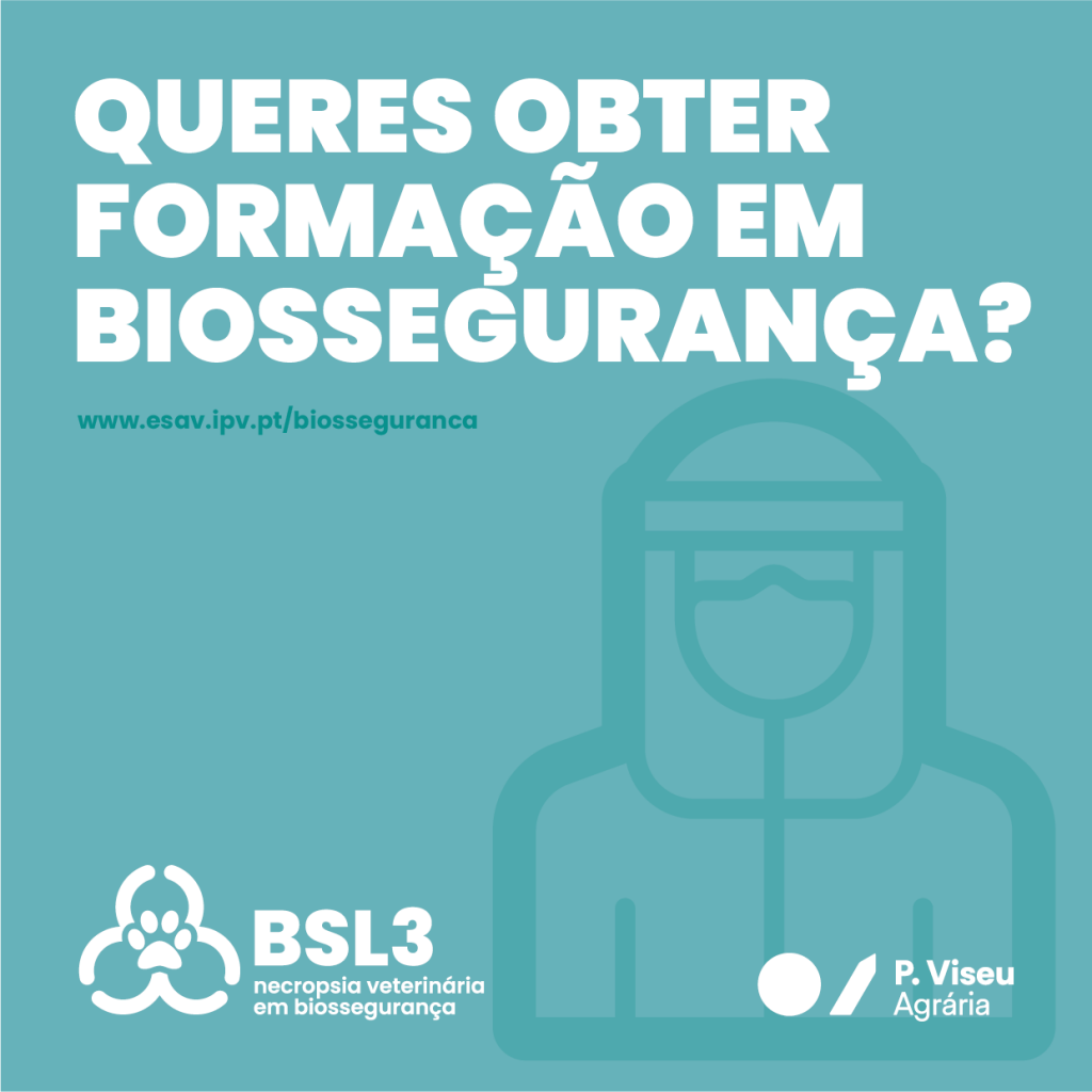 BSL3-pub-4-1024x1024