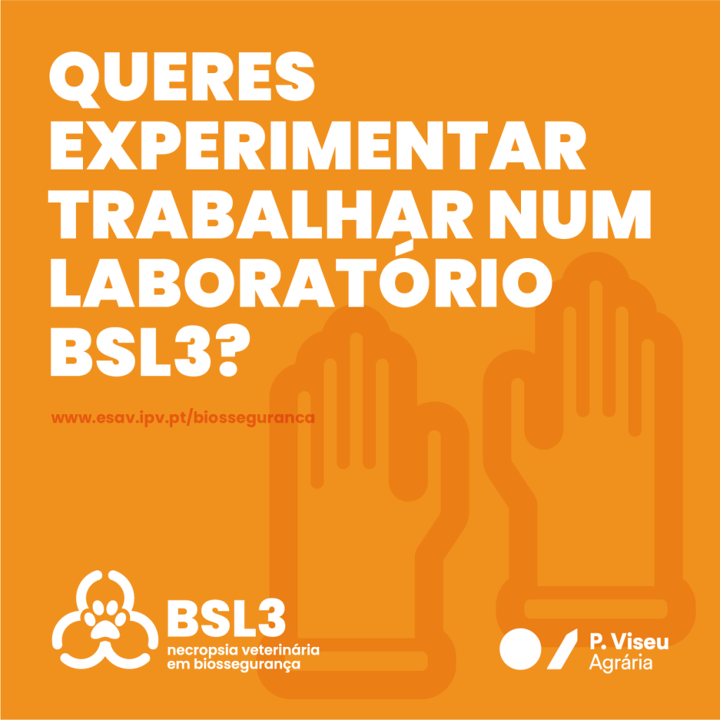 BSL3-pub-5-1024x1024