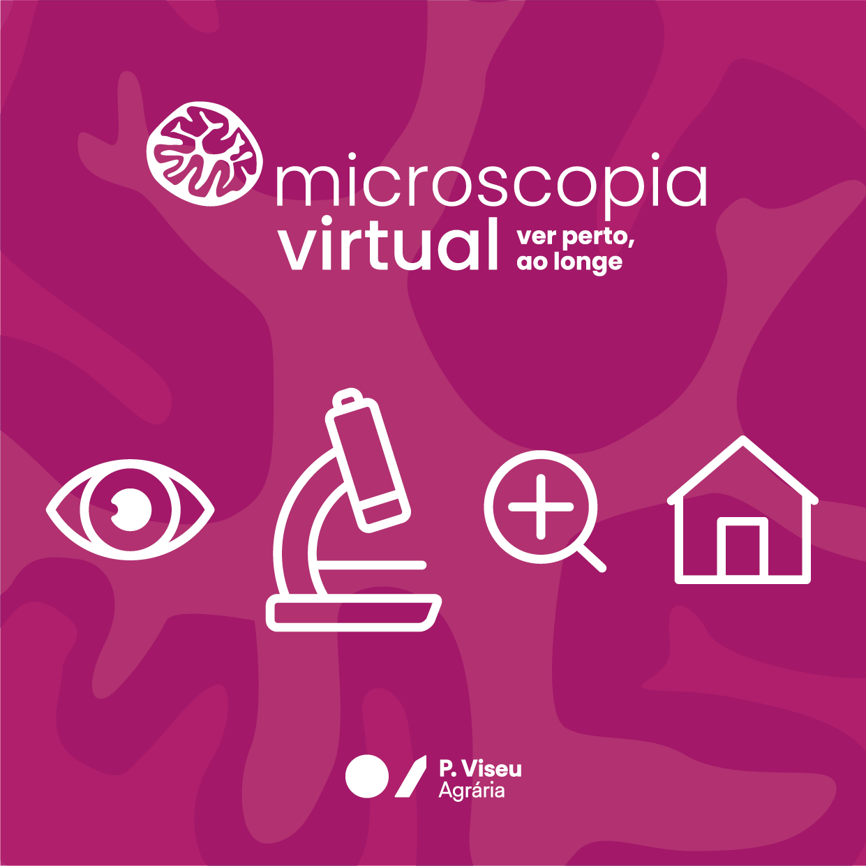 Microscopia-pub2-1