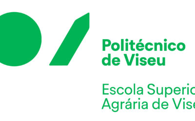 RESULTADOS PROVISÓRIOS – Recrutamento de um Professor Adjunto Convidado em Regime de Tempo Integral