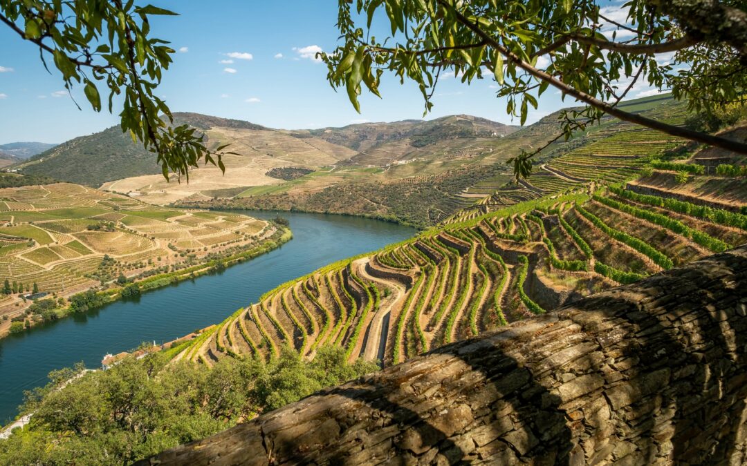 Douro – Cidade Europeia do Vinho em 2023